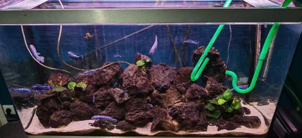 Aquarium 360l complet