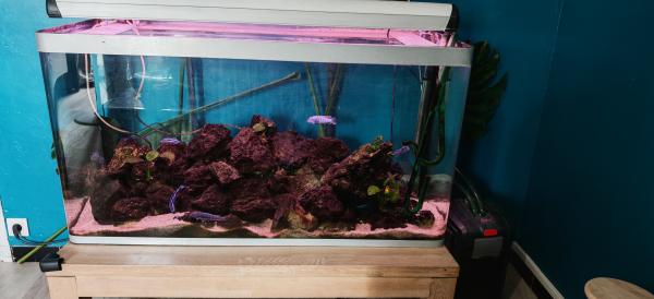 Aquarium 360l complet