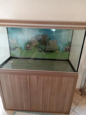 Aquarium fusion compet