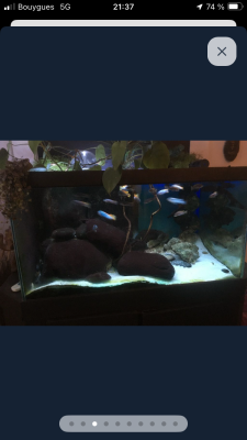 Aquarium 578 l plus décante