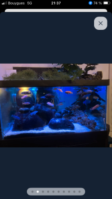 Aquarium 578 l plus décante