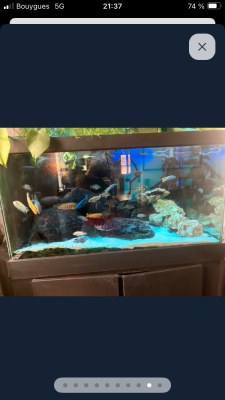 Aquarium 578 l plus décante