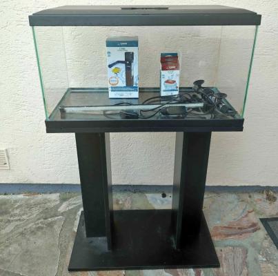 Aquarium ciano