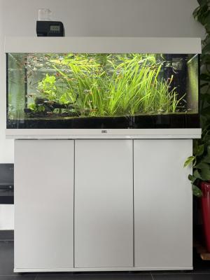 Aquarium Juwel Rio 180 LED + meuble, poissons, accessoires