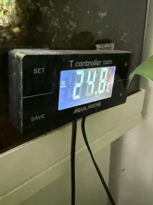 Aquarium Juwel Rio 180 LED + meuble, poissons, accessoires