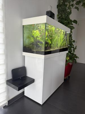 Aquarium Juwel Rio 180 LED + meuble, poissons, accessoires