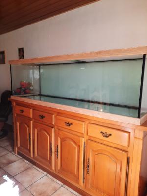 Aquarium 200x60x60 avec meuble