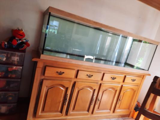 Aquarium 200x60x60 avec meuble