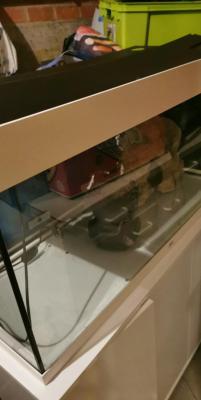 Juwel Rio 180l avec meuble vide