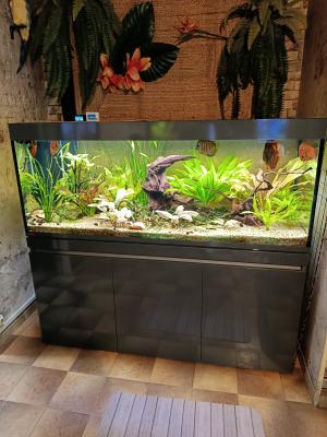 Aquarium  neuf
