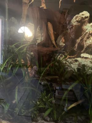 Aquarium 240 l. Avec sa pompe externe.