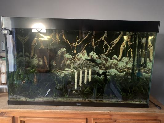 Aquarium 240 l. Avec sa pompe externe.