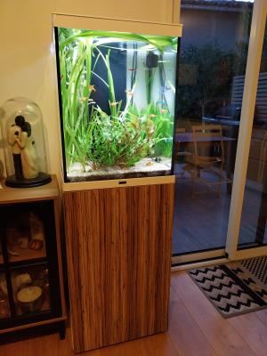 Aquarium Aquatlantis Tower 163 et accessoires