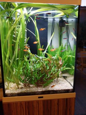 Aquarium Aquatlantis Tower 163 et accessoires