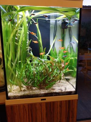 Aquarium Aquatlantis Tower 163 et accessoires