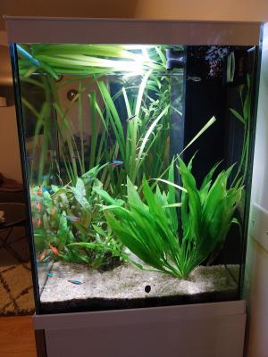 Aquarium Aquatlantis Tower 163 et accessoires