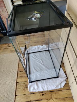 terrarium reptizoo