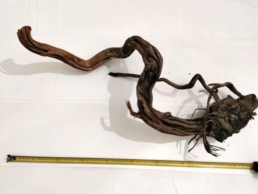lot de 2 racines spider wood