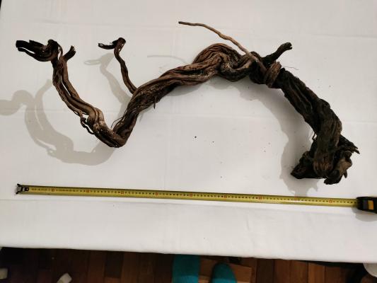 lot de 2 racines spider wood