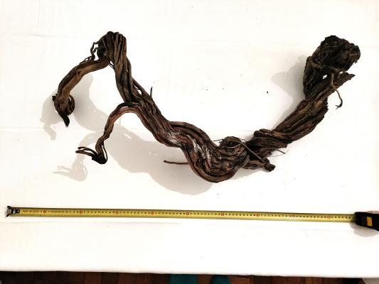 lot de 2 racines spider wood
