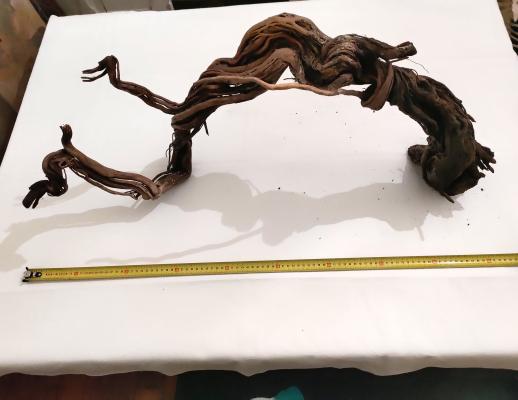 lot de 2 racines spider wood