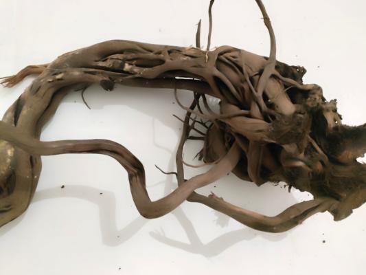 lot de 2 racines spider wood