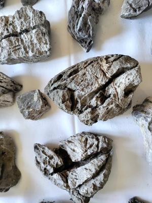 lot roches seiryu stone