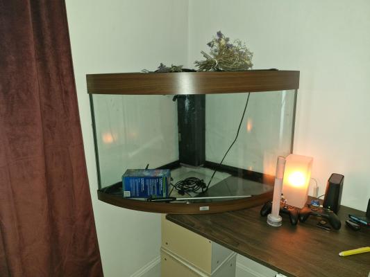 Aquarium d'angle 200 litre prêt à l'emploi