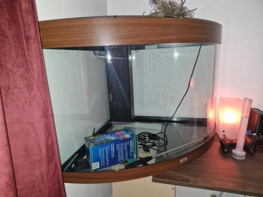 Aquarium d'angle 200 litre prêt à l'emploi