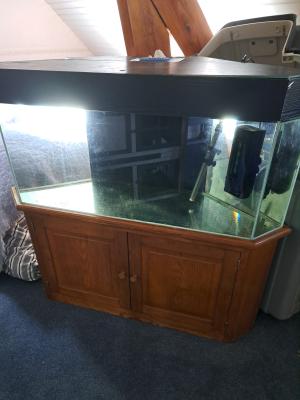 Aquarium 300L prix donné ! 🎉