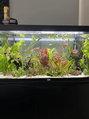 Aquarium Volga 350L