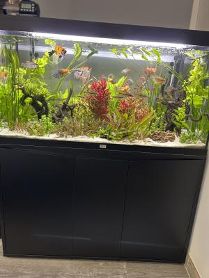Aquarium Volga 350L
