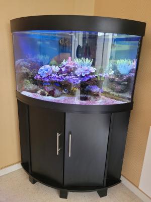 aquarim trigon 190 complet