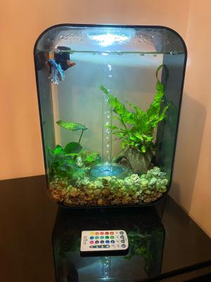 Aquarium Biorb 15 L noir