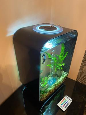 Aquarium Biorb 15 L noir