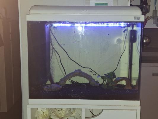 AQUADISIO 60 L