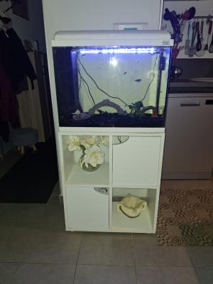 AQUADISIO 60 L