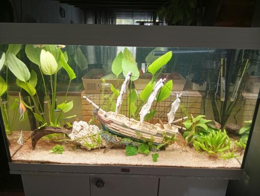 Aquarium 200l