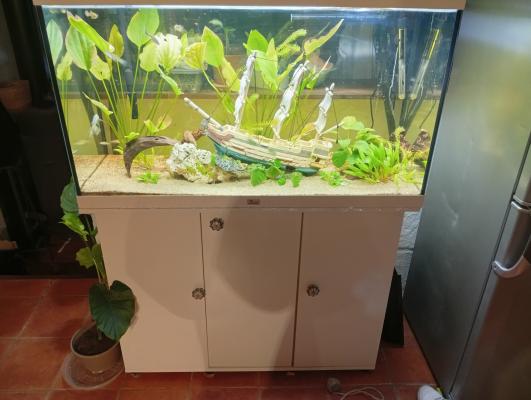 Aquarium 200l