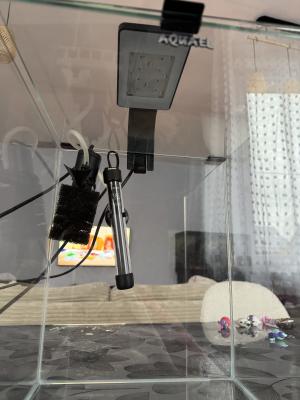 Aquarium 30 L avec racine et pierre