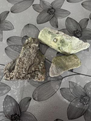 Aquarium 30 L avec racine et pierre