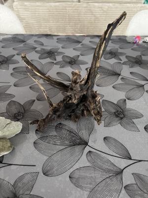 Aquarium 30 L avec racine et pierre