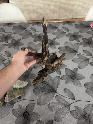 Aquarium 30 L avec racine et pierre