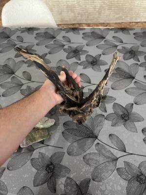 Aquarium 30 L avec racine et pierre