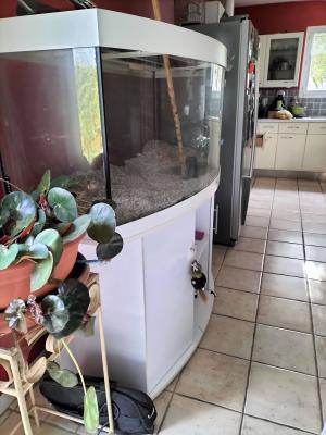 AQUARIUM JEWEL ET SON MEUBLE