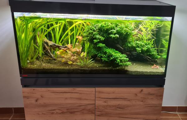 Aquarium EHEIM Incpiria 430L – Graphit/Nature