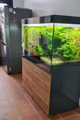 Aquarium EHEIM Incpiria 430L – Graphit/Nature