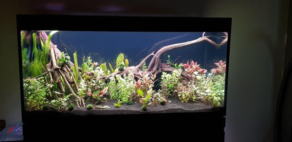 Aquarium EHEIM Incpiria 430L – Graphit/Nature