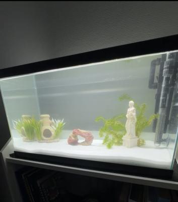 Aquarium/Accessoires/Poisson
