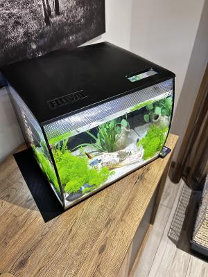 Aquarium FLUVAL 30L